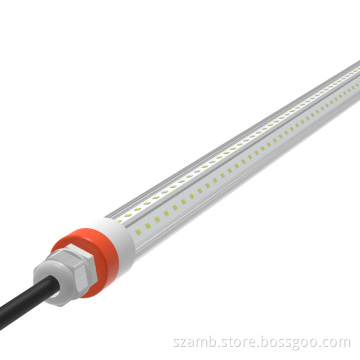 T8 broiler lighting Broiler Poultry Lighting